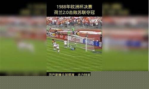苏联进过几次欧洲杯决赛-前苏联欧洲杯夺冠